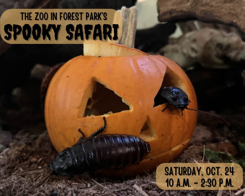 Halloween Trick-or-Treat Trail at The Zoo in Forest Park