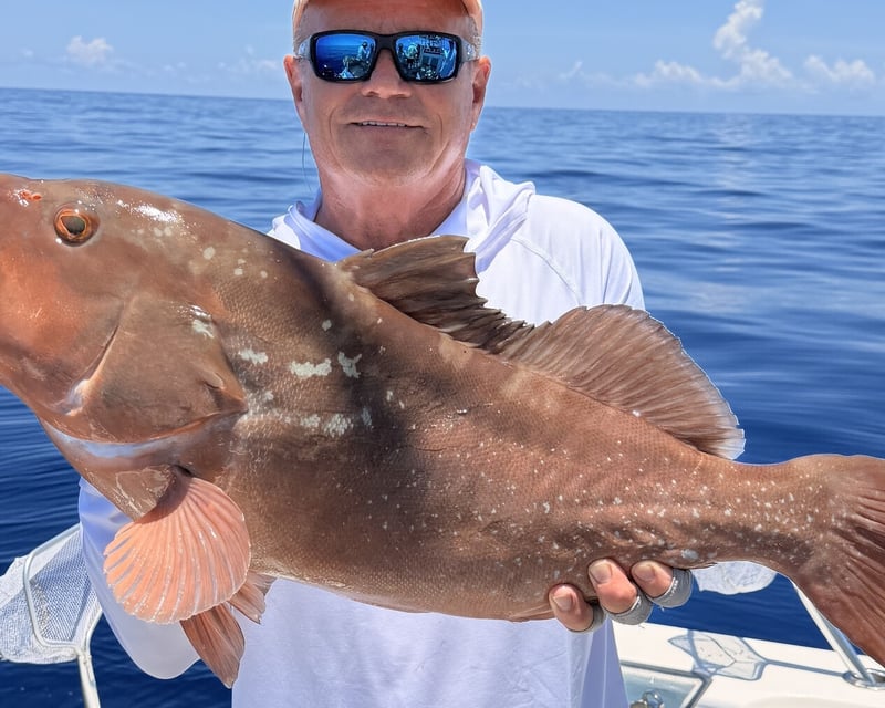 Shared Full-Day Offshore Gulf Fishing Trip in Naples