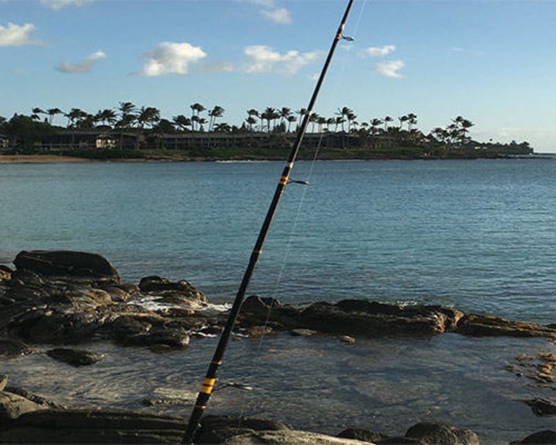 Traditional Hawaiian Shoreline Fishing Tour in Lahaina