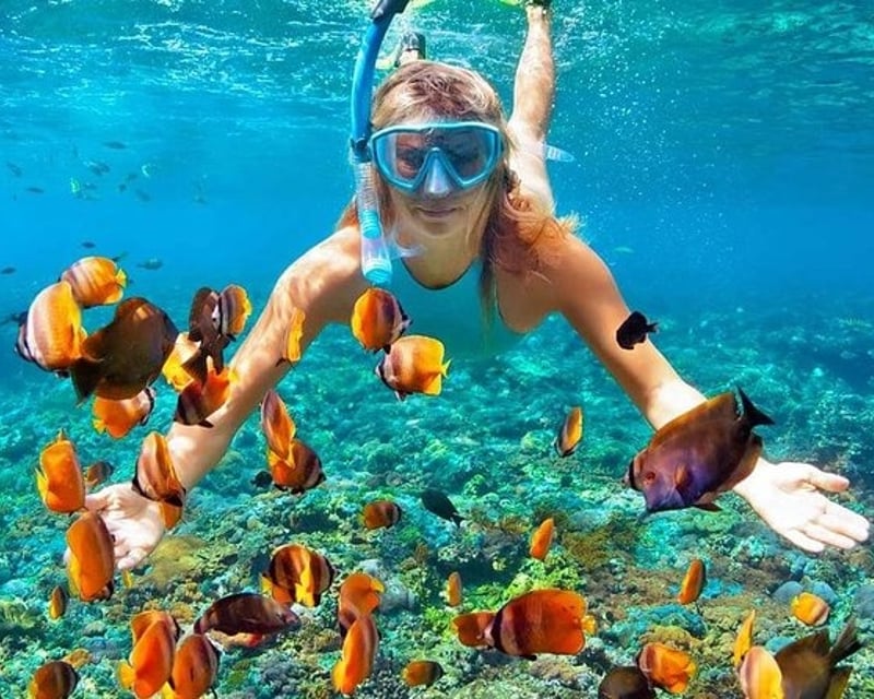 Key West Private Snorkeling Charter