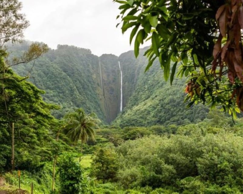 6-Hour Guided Oahu Island Tour