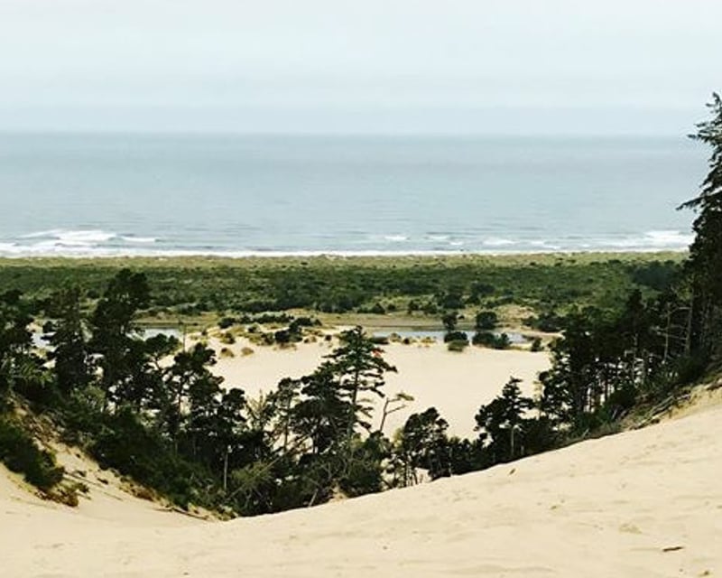 ATV & UTV Rental for All Skill Levels in Winchester Bay