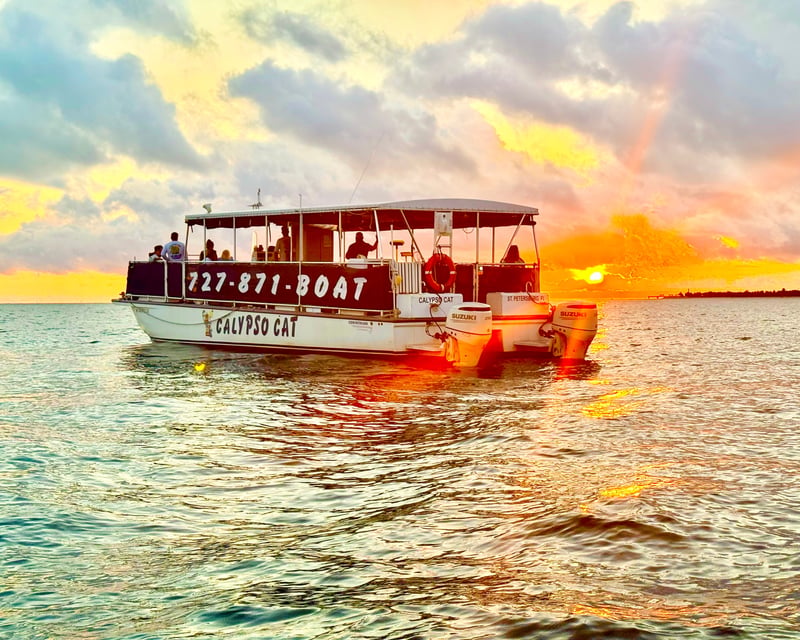 Shell Key Sandbar Sunset Cruise & Shelling From Gulfport