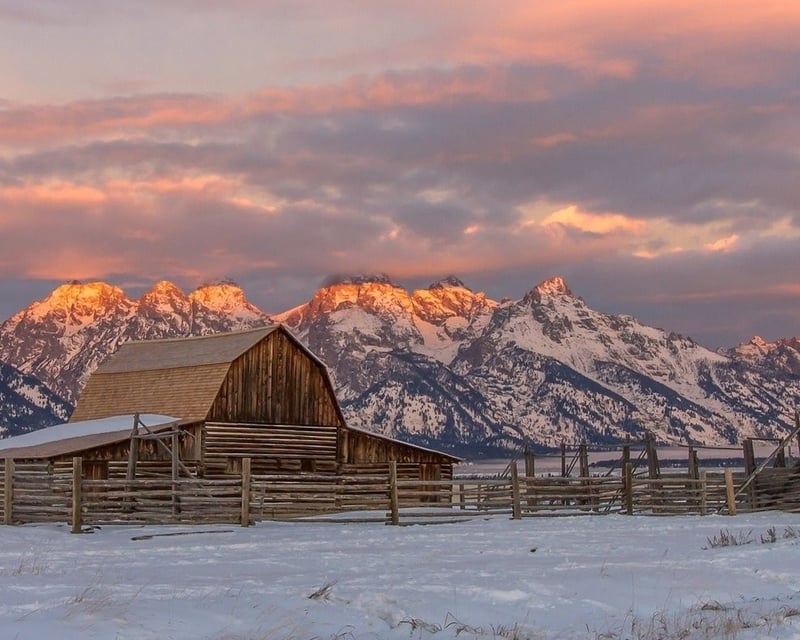 Private Half-Day Grand Teton National Park Naturalist Tour