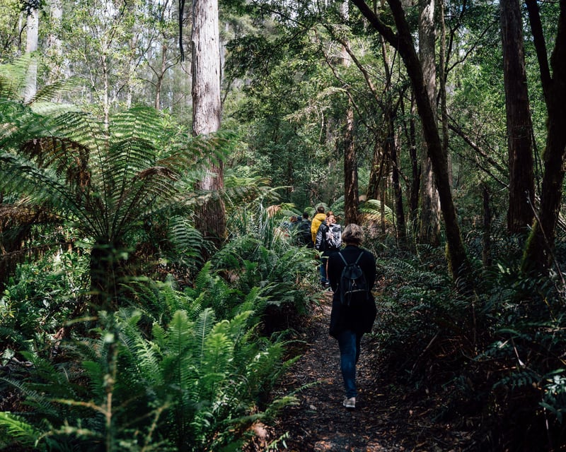 2-Day Hobart & Bruny Island Sightseeing Tour in Tasmania