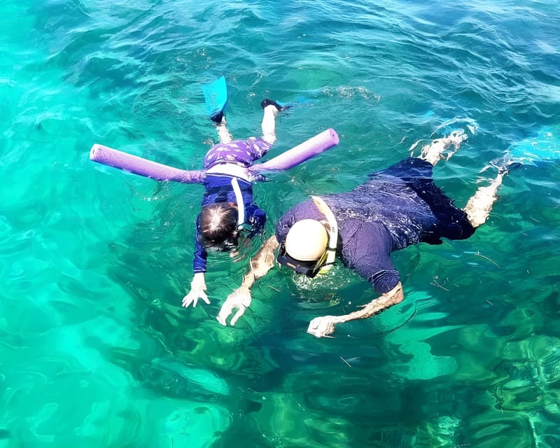 Biscayne Bay Island Snorkeling Tour from South Beach