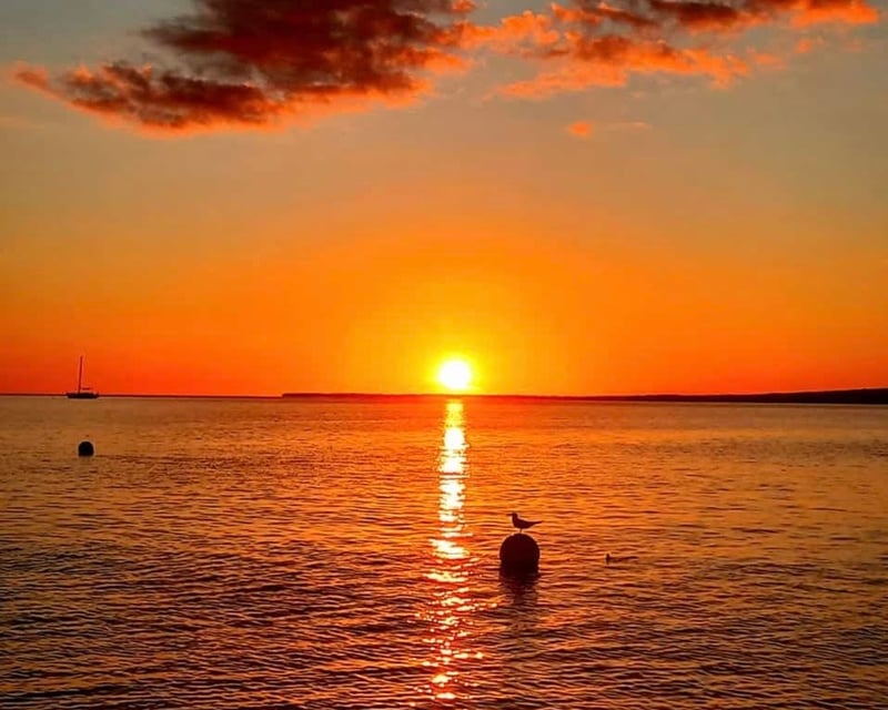 Sunset Bioluminescent Bay Kayak & Swim Tour in La Parguera