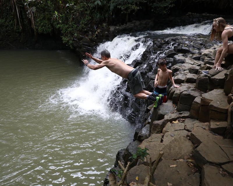 Afternoon Waterfall Walk & Swim In Maui