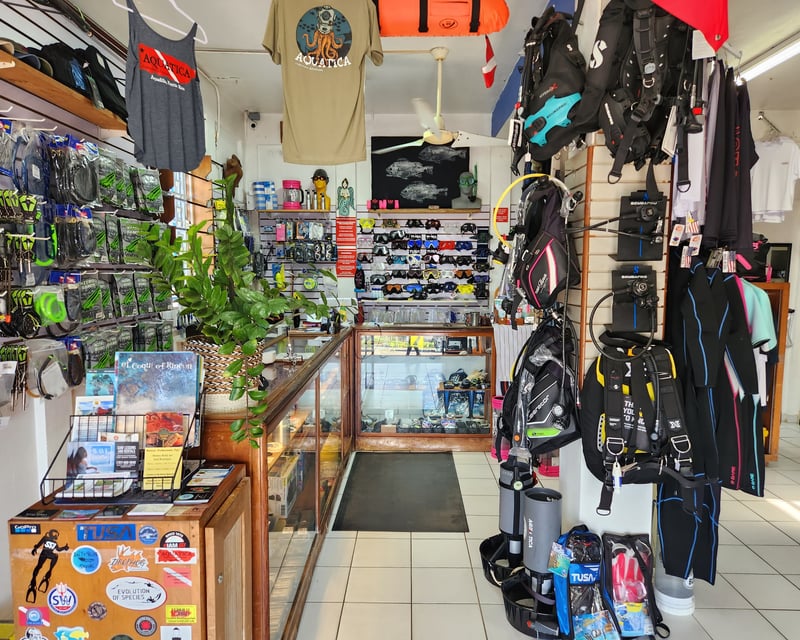 2-Day Open Water Referral Scuba Dives in Aguadilla