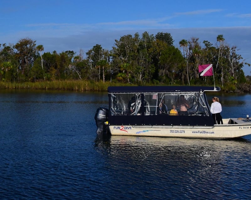 Small-Group Manatee Swim in Crystal River