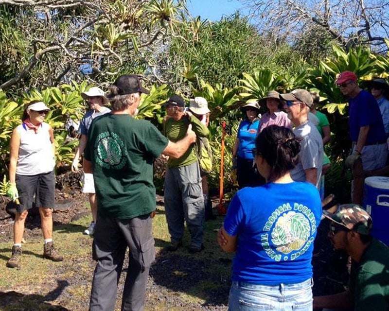 Guided Garden Tour in Hāna