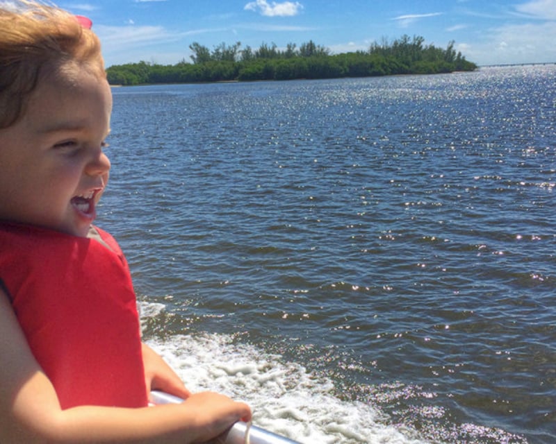 Morning Dolphin & Wildlife Cruise in Fort Myers