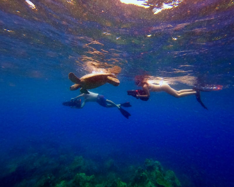 Sea Scooter Snorkeling Tour at Turtle Town, Maui