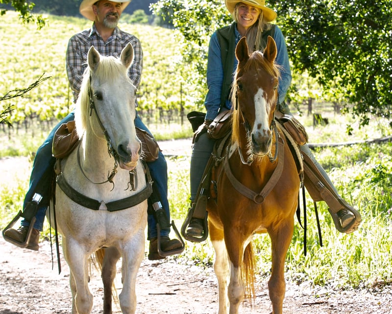 Private Horseback Ride & Picnic at Jack London State Park