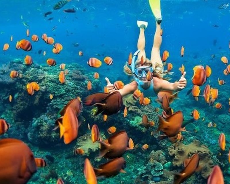 Marine Sanctuary Snorkel Tour by Boat in Haleiwa