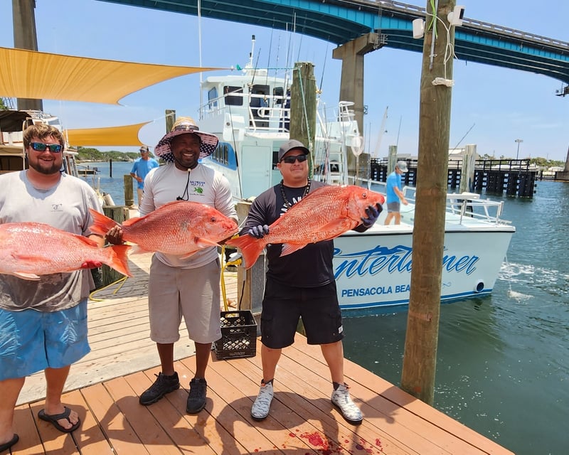 Shared Full-Day Gulf Fishing Trip in Pensacola