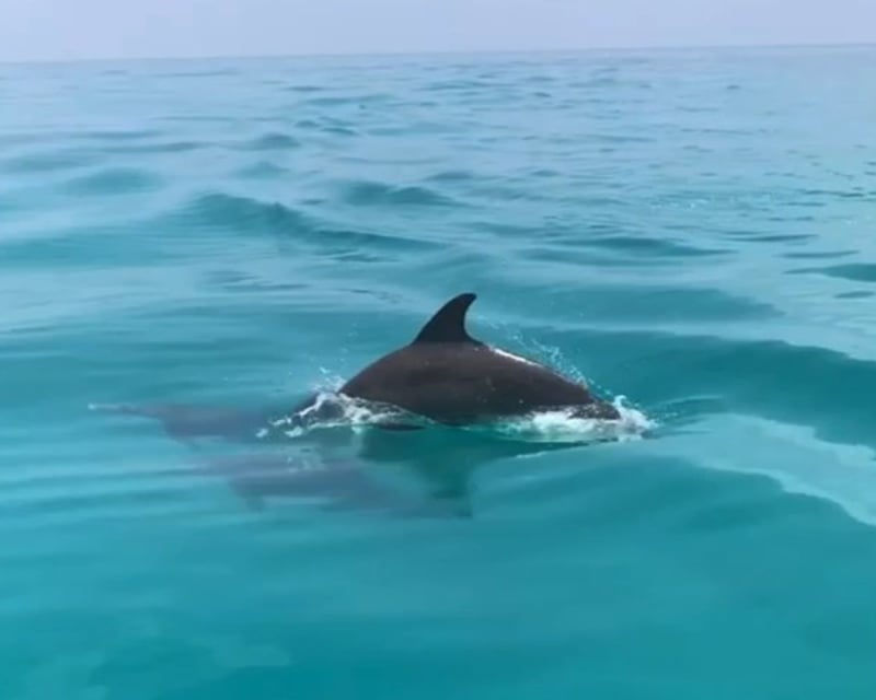 Private Morning Tiki Boat Cruise in Key West