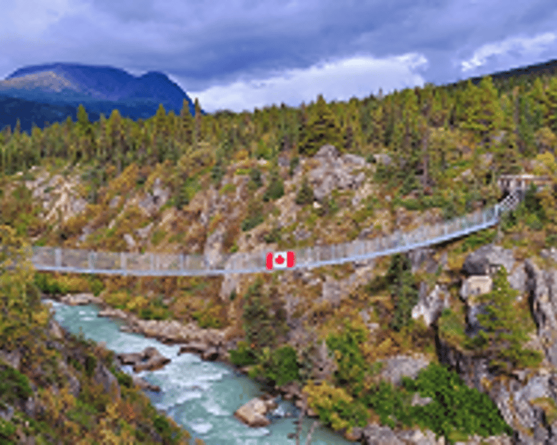 Skagway Yukon Suspension Bridge Guided Tour