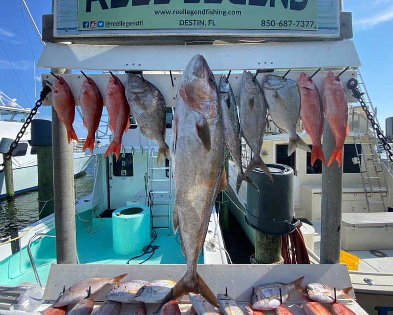 5-Hour Deep Sea Fishing Charter in Destin