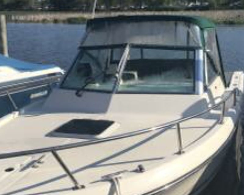 Private Full-Day Salmon Fishing Charter in Manistee