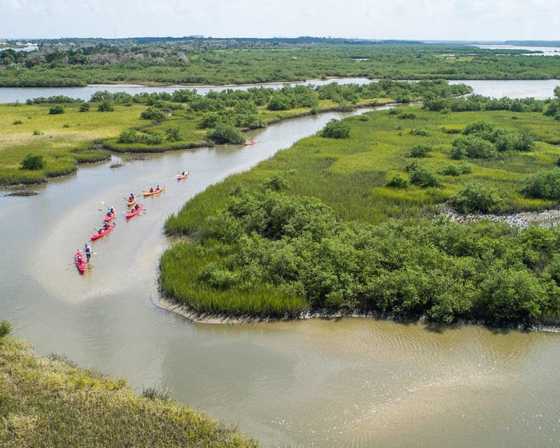 Matanzas River Estuary Kayak Eco Tour in Marineland