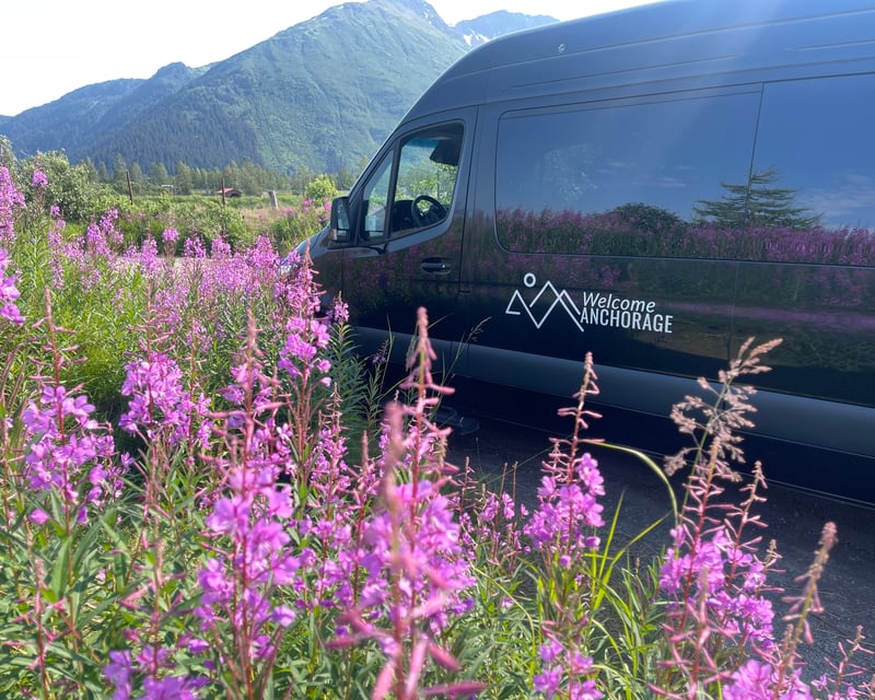 Anchorage to Seward Wildlife Guided Tour