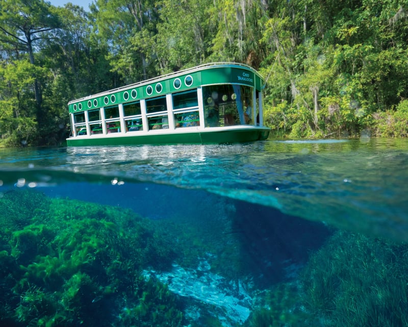 30-Minute Silver Springs State Park Glass Bottom Boat Tour
