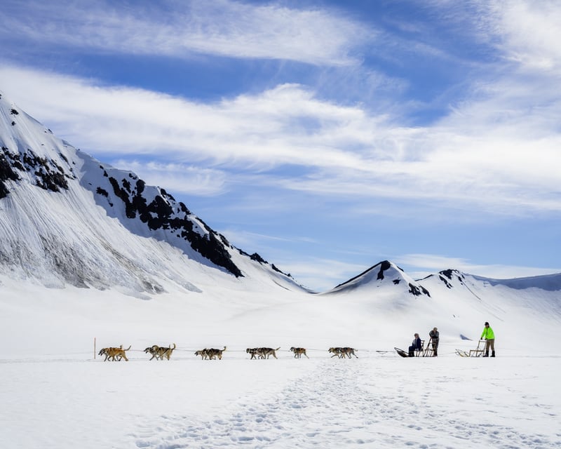 Seward Helicopter and Glacier Dogsled with Kenai Fjords Landing
