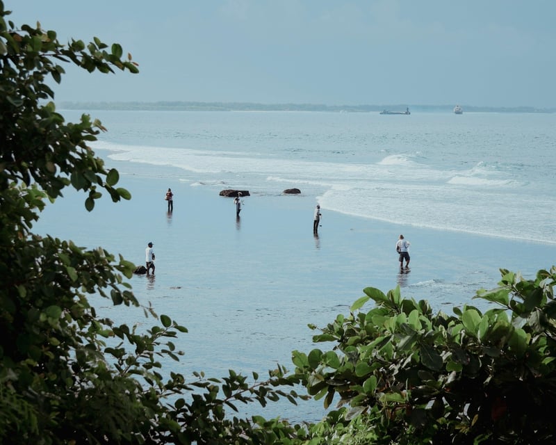 Explore Petit Bois Island From Dauphin Island