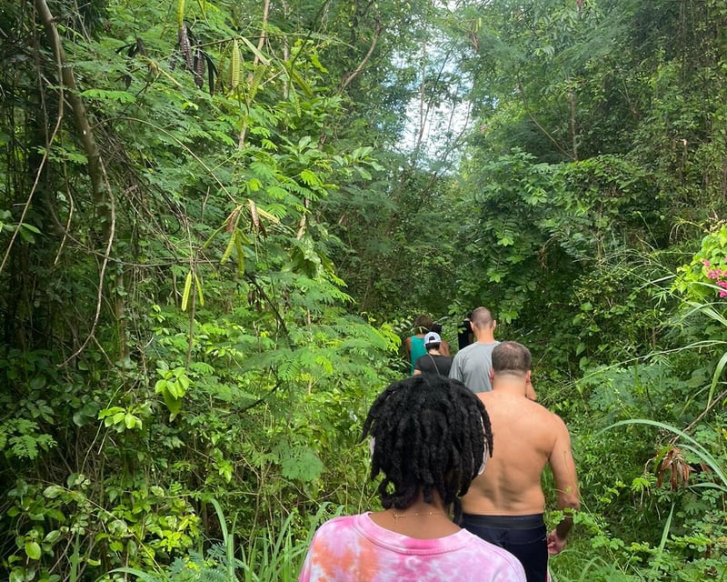Guided Hike to Secluded Santa Maria Beach in St. Thomas