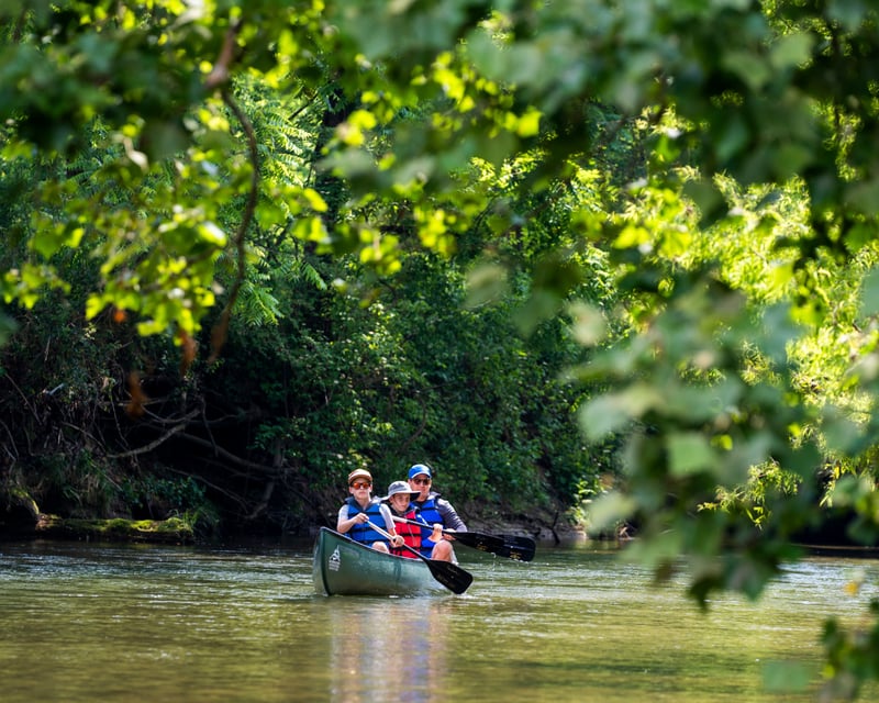French Broad River 3-Hour Self-Guided Paddle