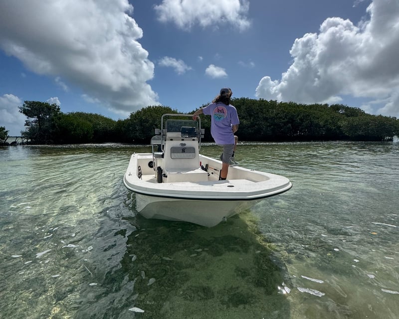 Full-Day 18' Skiff Eco Tour in Big Pine Key