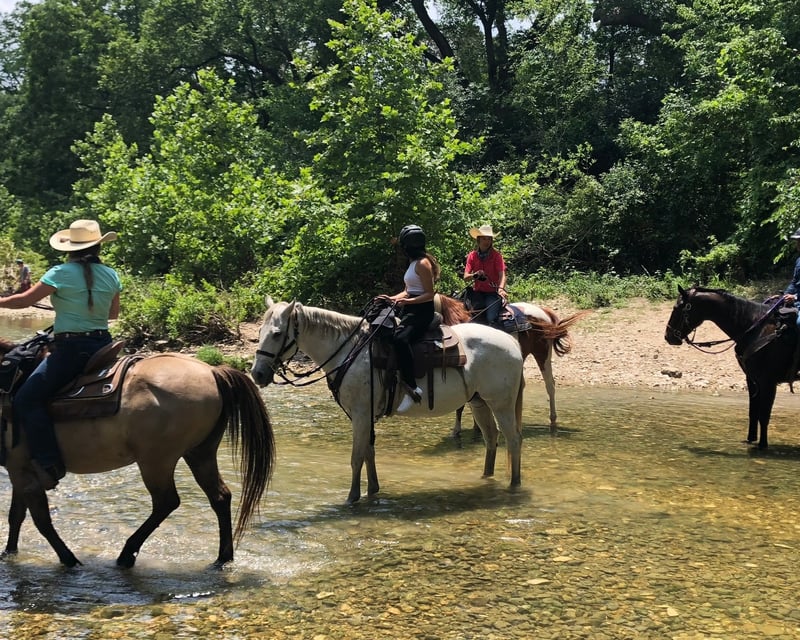 Horseback Riding Trail Lesson on 600-Acre Ranch in Austin