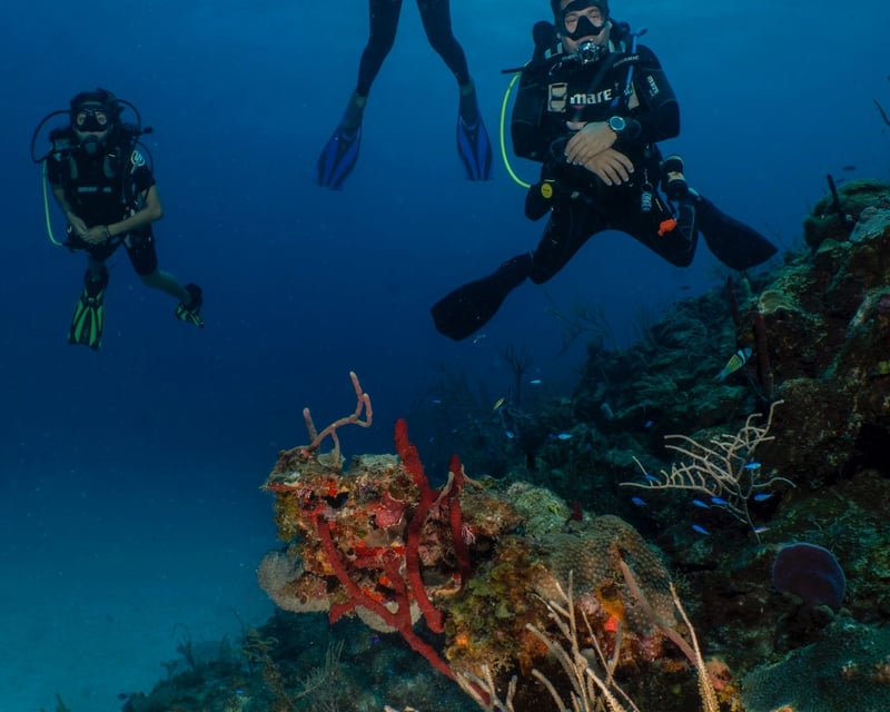 Vieques 2-Tank Scuba Dive Trip from Fajardo