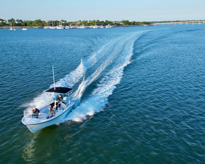 Private Beaufort River Dolphin & History Boat Tour