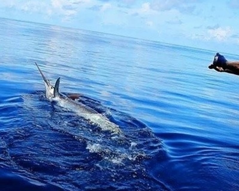Private Full-Day Deep Sea Fishing Charter in Murrells Inlet