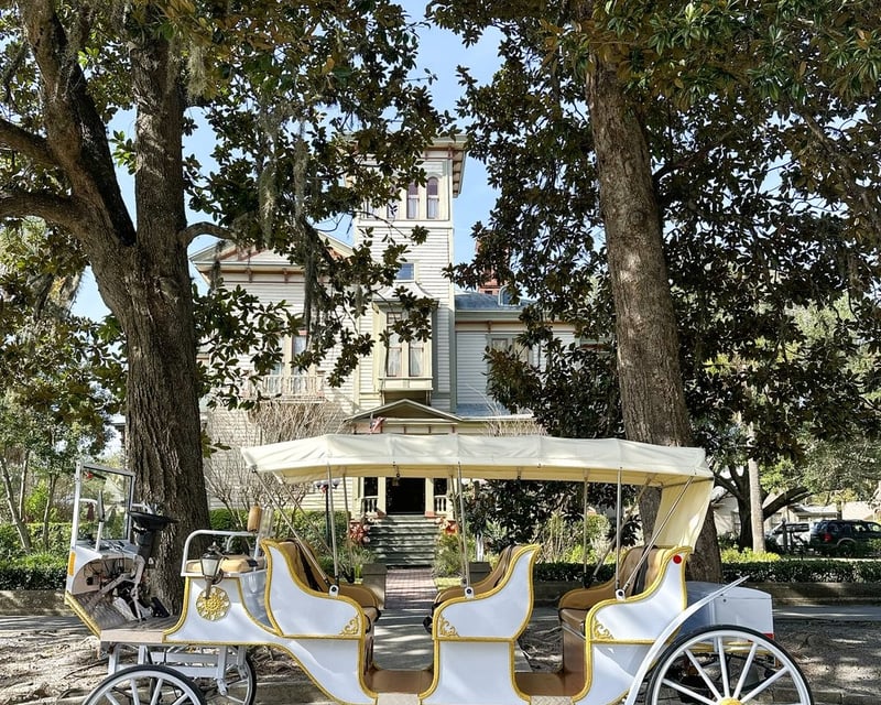 Electric Carriage Holiday Lights Ride