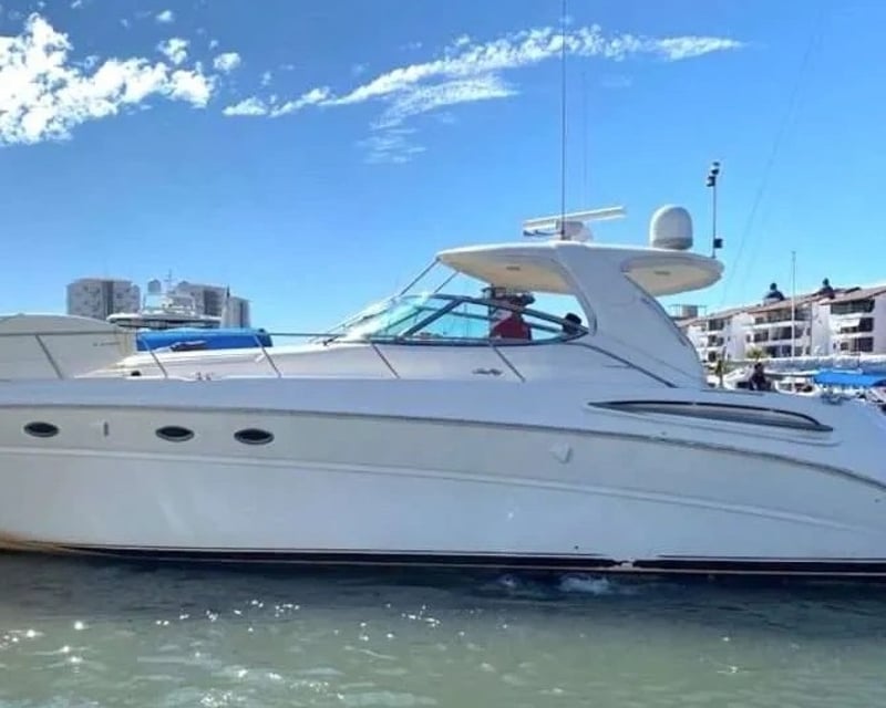 Private Snorkel & Swim Yacht Charter in Puerto Vallarta