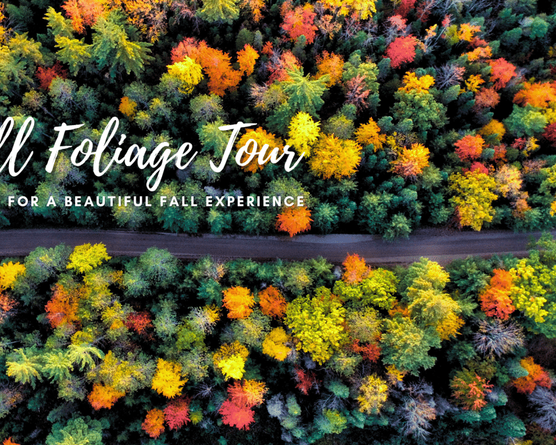 Fall Colors UTV Rental in Danbury, WI