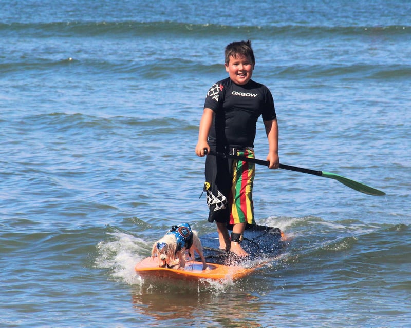Stand-Up Paddleboard Lesson at Kalama Park, Kihei