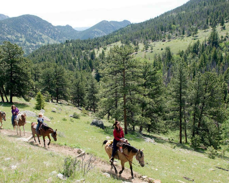 6-Hour Horseback Ride in Rocky Mountain National Park