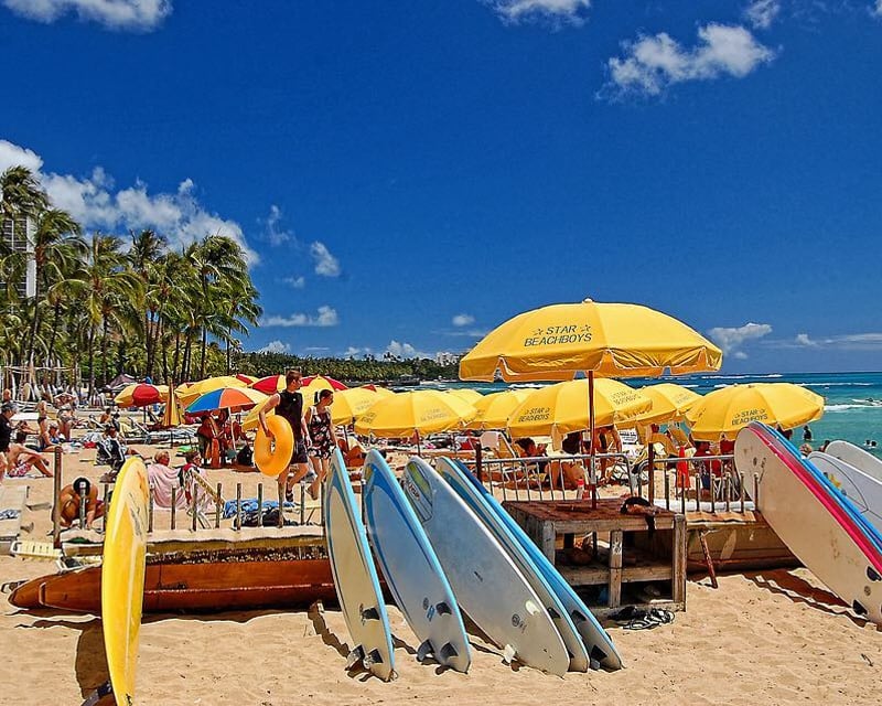 Longboard Surfing Rental in Honolulu