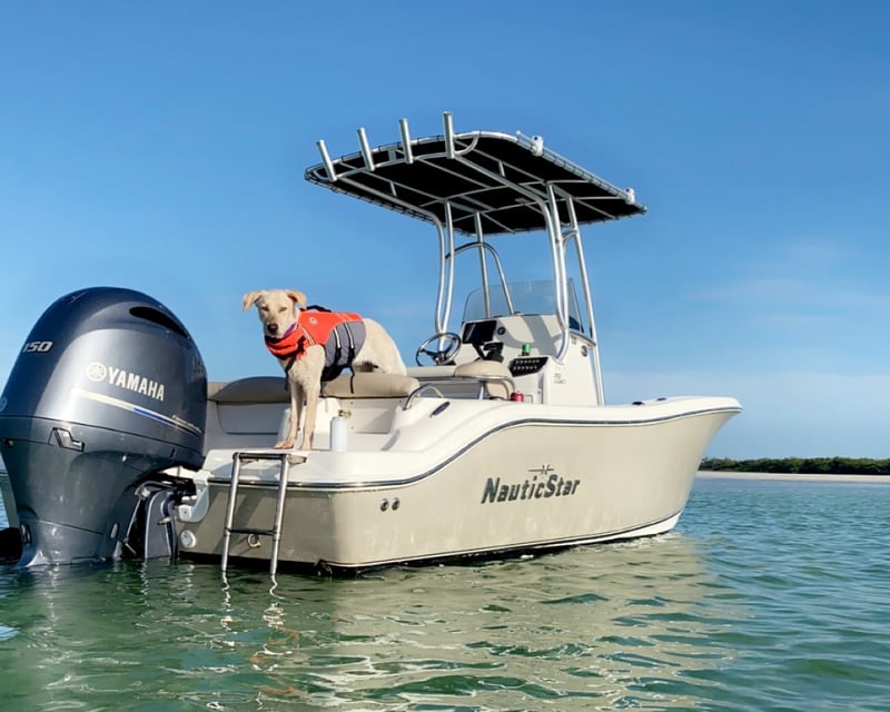 Private Sunset Cruise in Key West