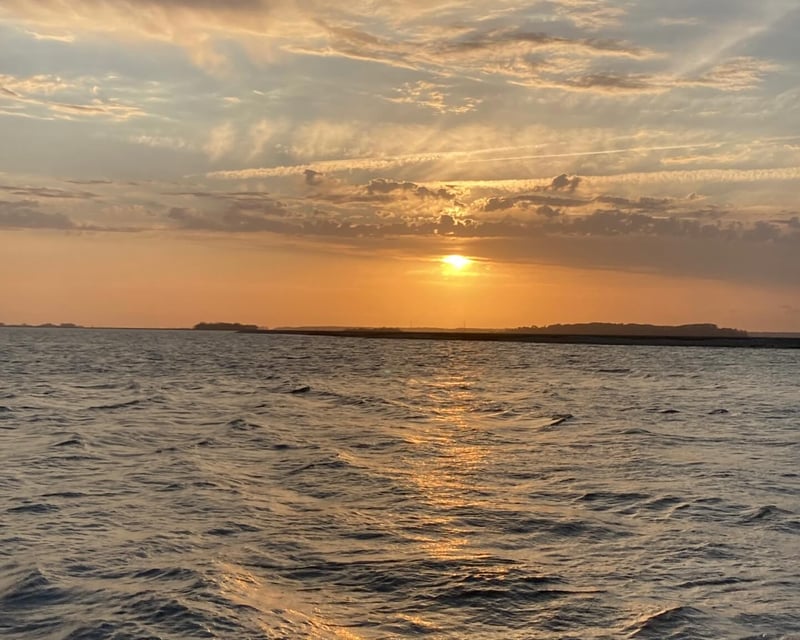 Private Sunset Dolphin Cruise in Hilton Head Island
