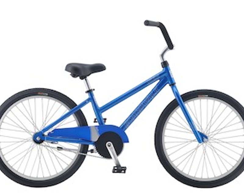 Rent a 1-Day Bike in Hilton Head Island