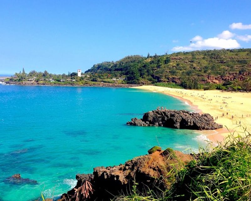 Explore Oahu on a Private 9-Hour Specialty Tour