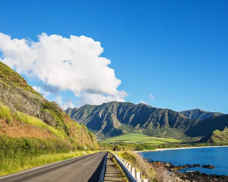 Private Oahu Circle Island Tour with Turtle Beach