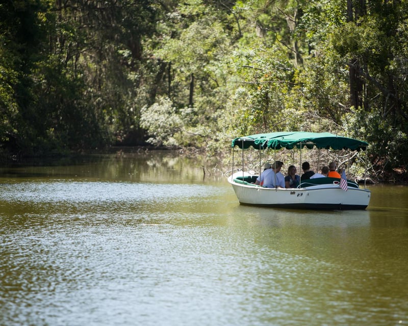 Alligator & Wildlife Guided Boat Tour in Hilton Head
