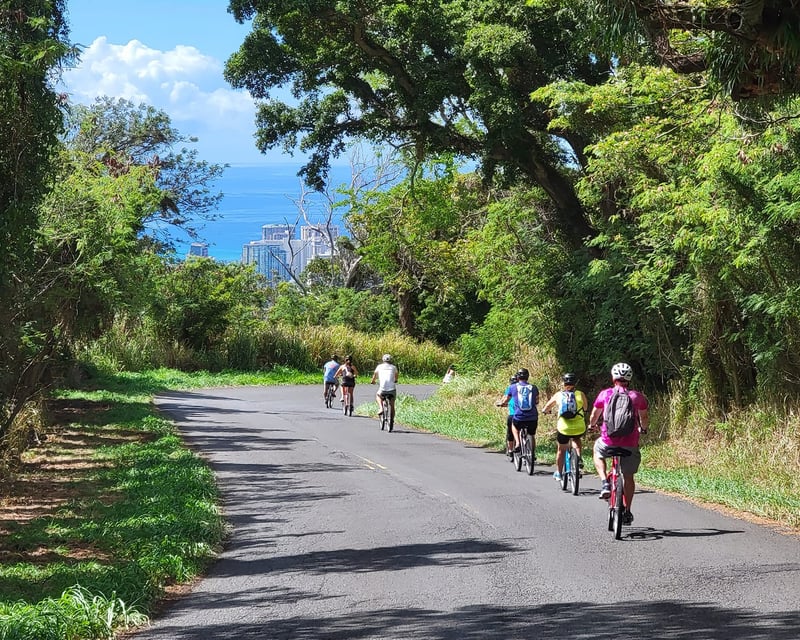 5-Mile Downhill Rainforest Bike Tour on Oahu