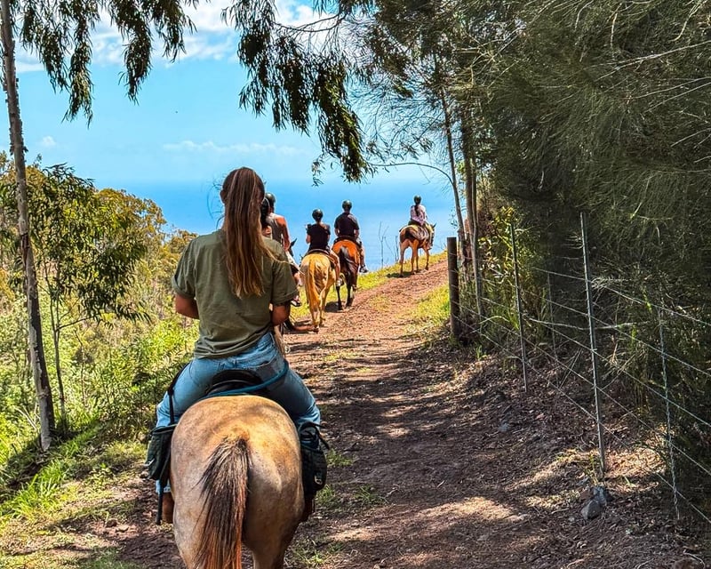 Private Horseback Trail Ride with Coastal Views in Kapolei